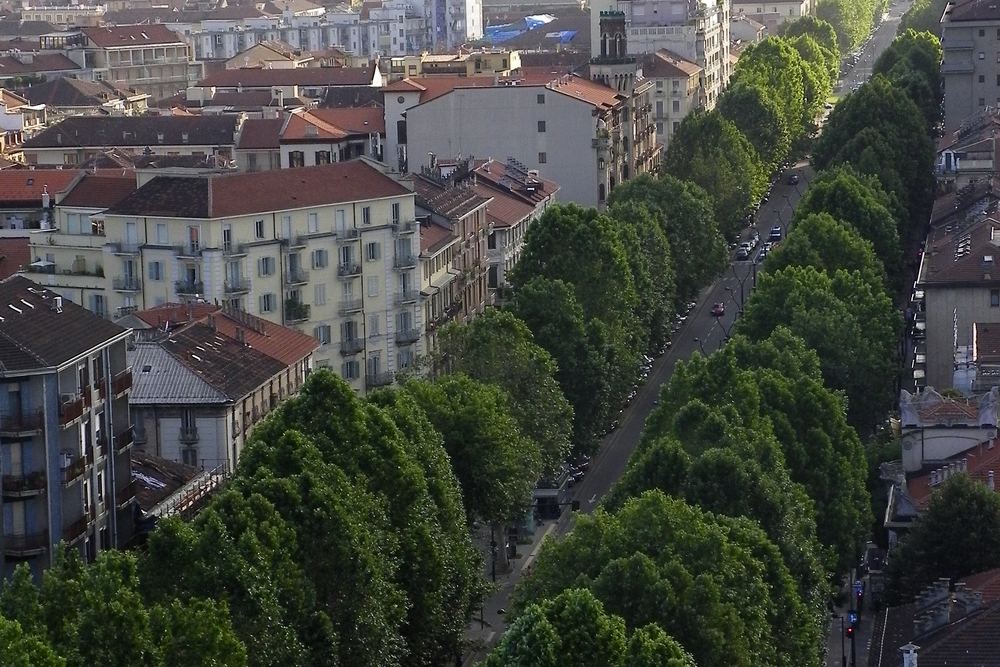 Chimica, plastica e gomma